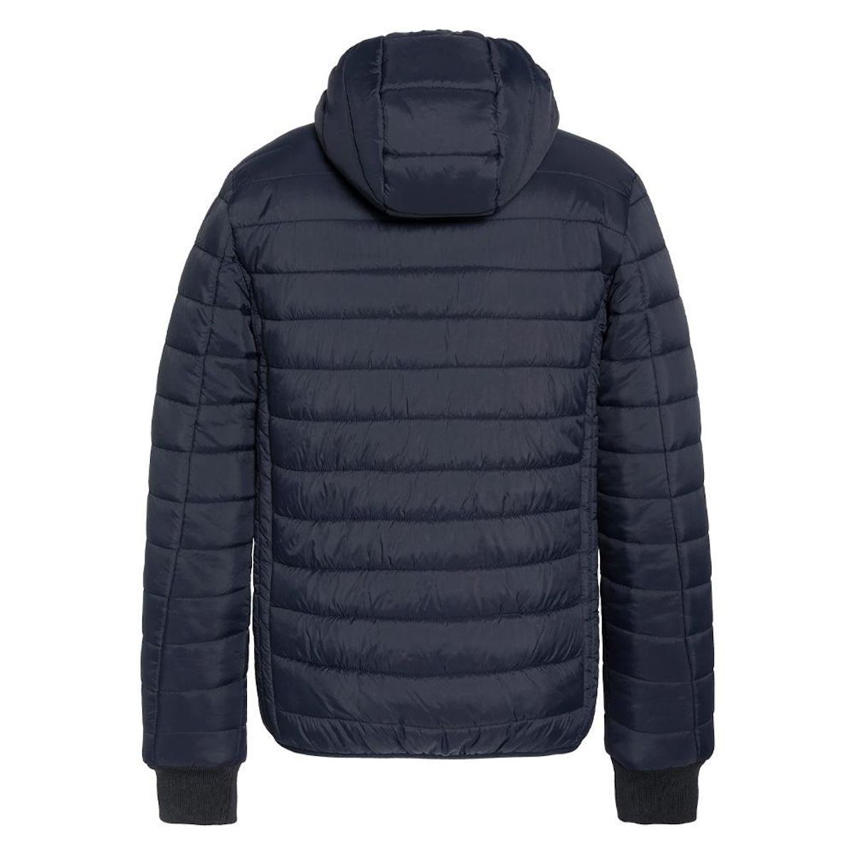 Schott Doudoune  Homme Schott EXPRESSO