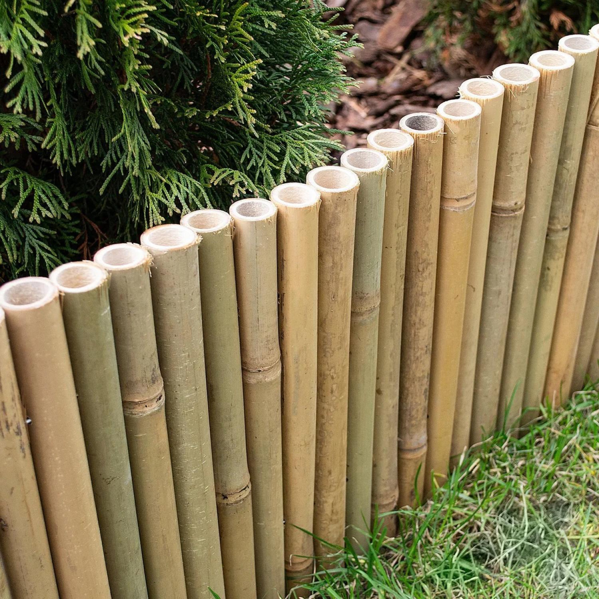 Voir la diapositive 2 : LINXOR Bordure à planter, clôture de jardin flexible en bambou - 100 x 20 cm - Bois clair