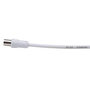 Voir la diapositive 3 : Gsc Cable coaxial TV  2,5m