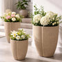 Voir la diapositive 6 : Paris Prix Lot de 3 Cache-Pots  Peru  50cm Gris