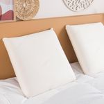 DUNLOPILLO Oreiller Visco Nature. Coloris disponibles : Blanc