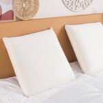 DUNLOPILLO Oreiller Visco Nature. Coloris disponibles : Blanc