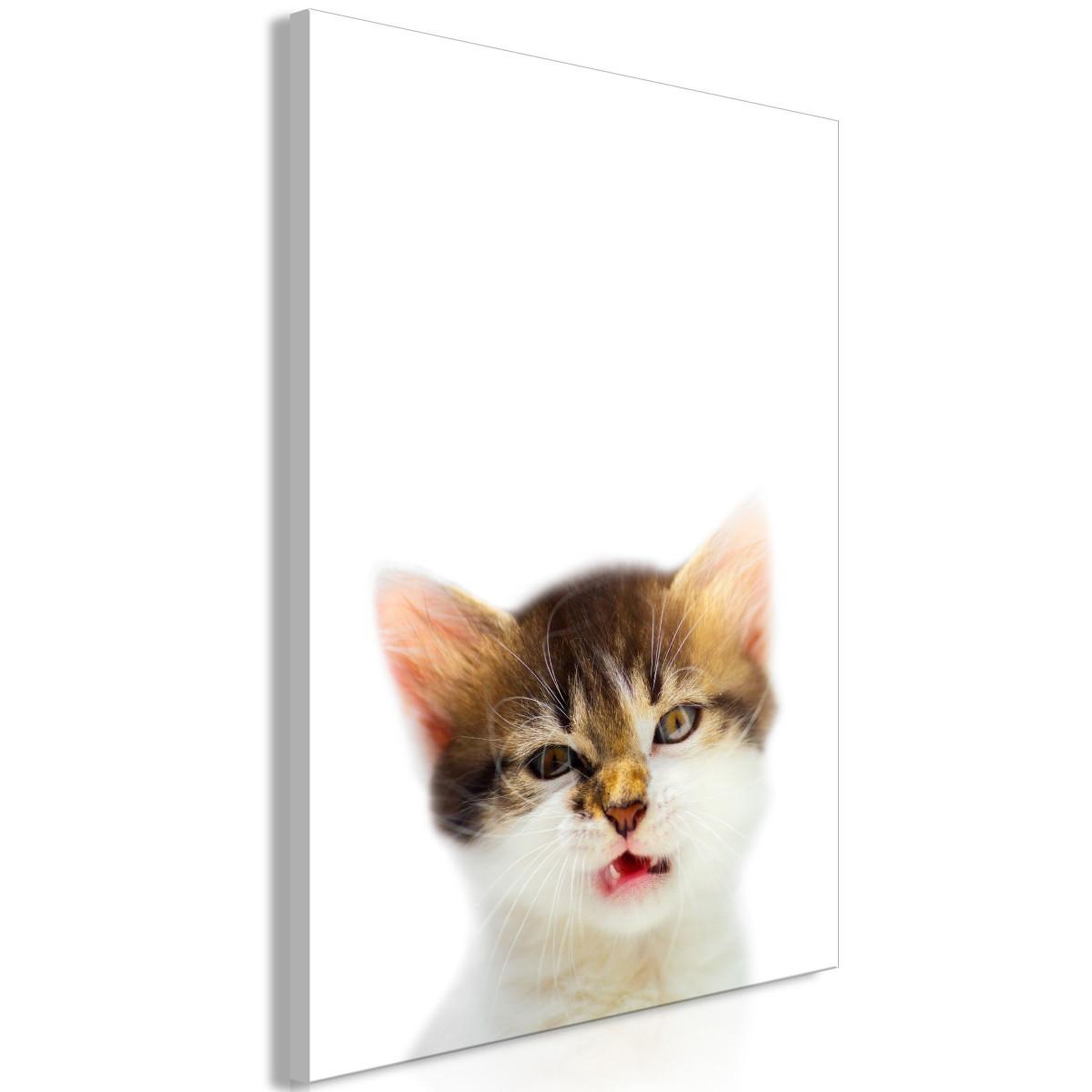 Voir la diapositive 1 : Paris Prix Tableau Imprimé  Vexed Cat