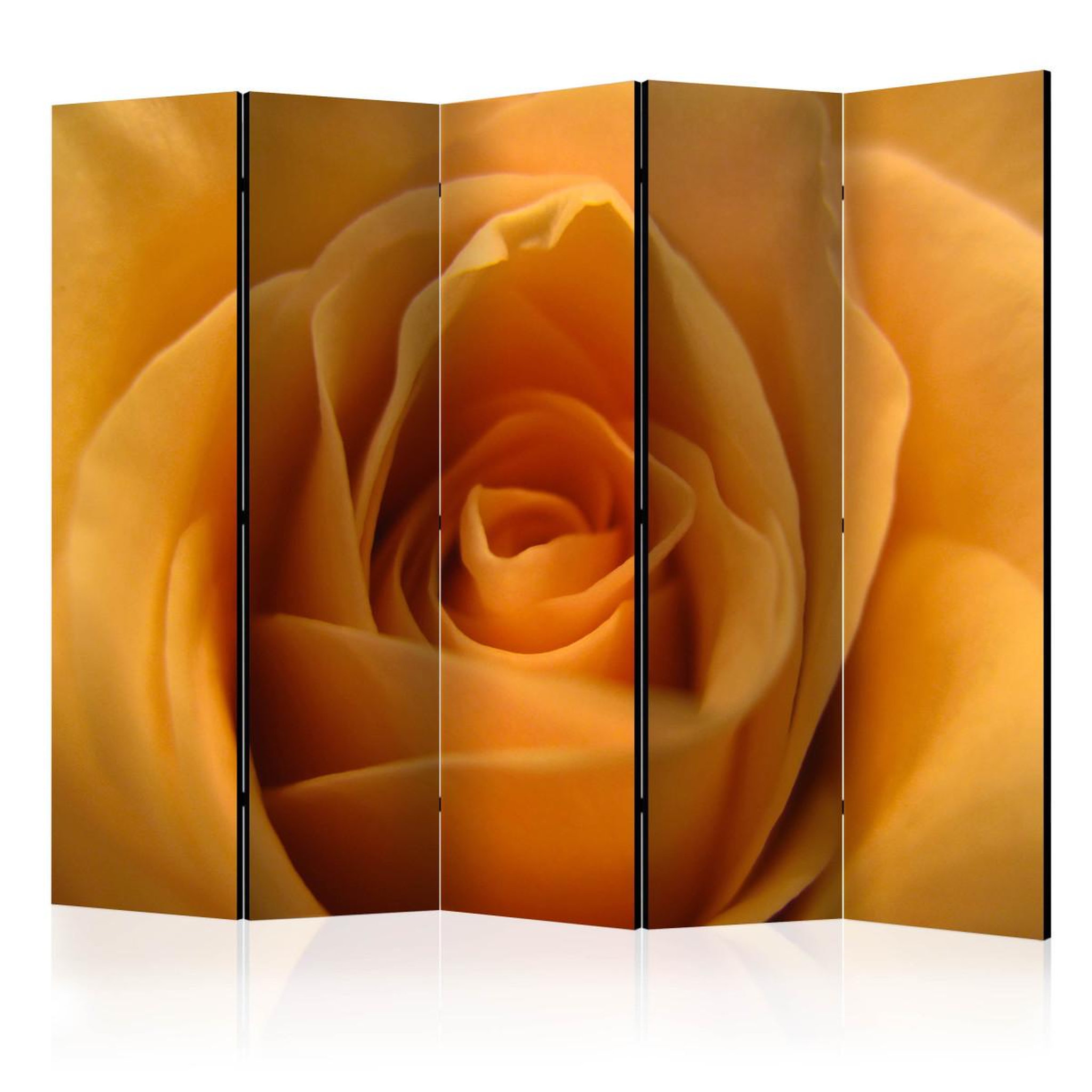 Paris Prix Paravent 5 volets  yellow rose – a symbol of friendship  172x225cm