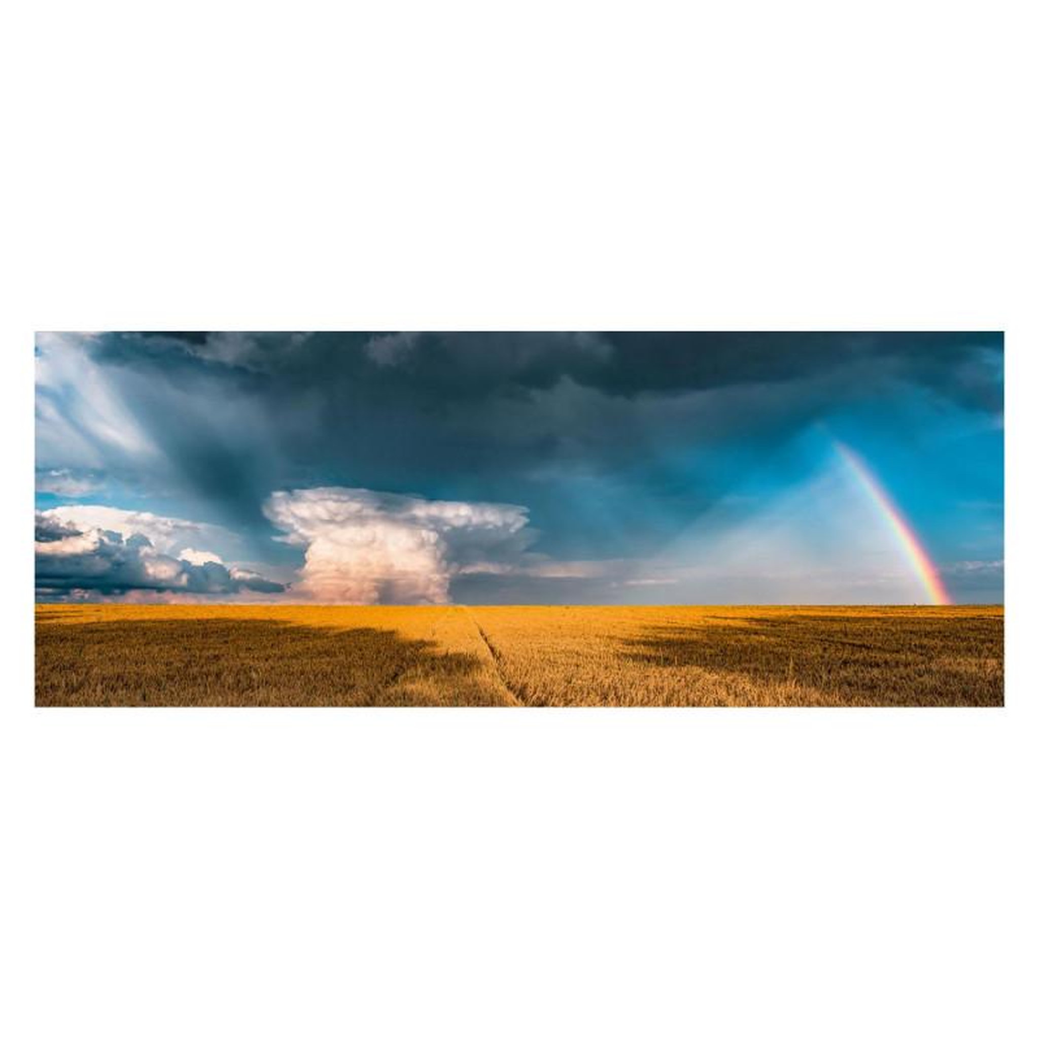 Voir la diapositive 2 : RAVENSBURGER Ravensburger Puzzle Mystical Rainbow, 1000pcs. 174935