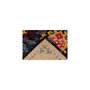 Voir la diapositive 4 : Paris Prix Tapis Tissé Imprimé  Primavera  Multicolore