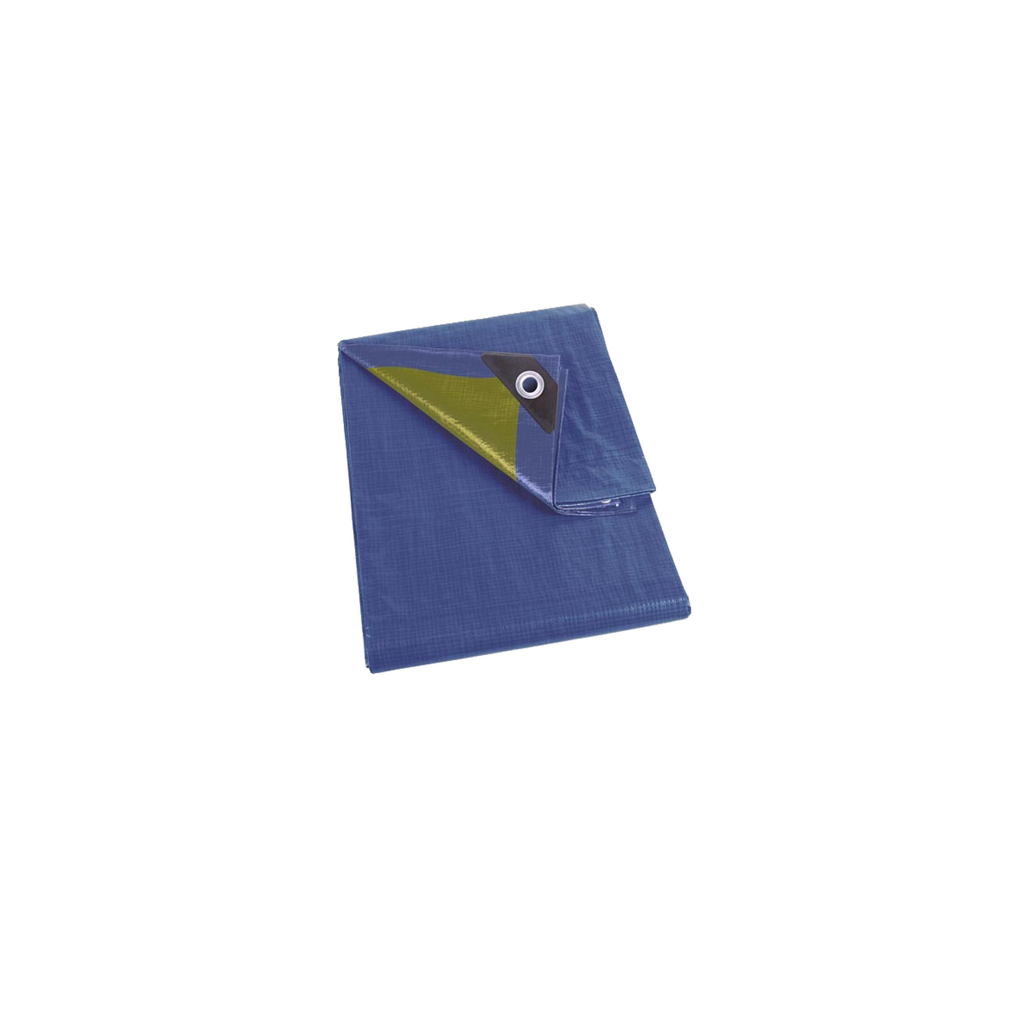 Perel Bâche de protection Perel standard couleur bleue/verte