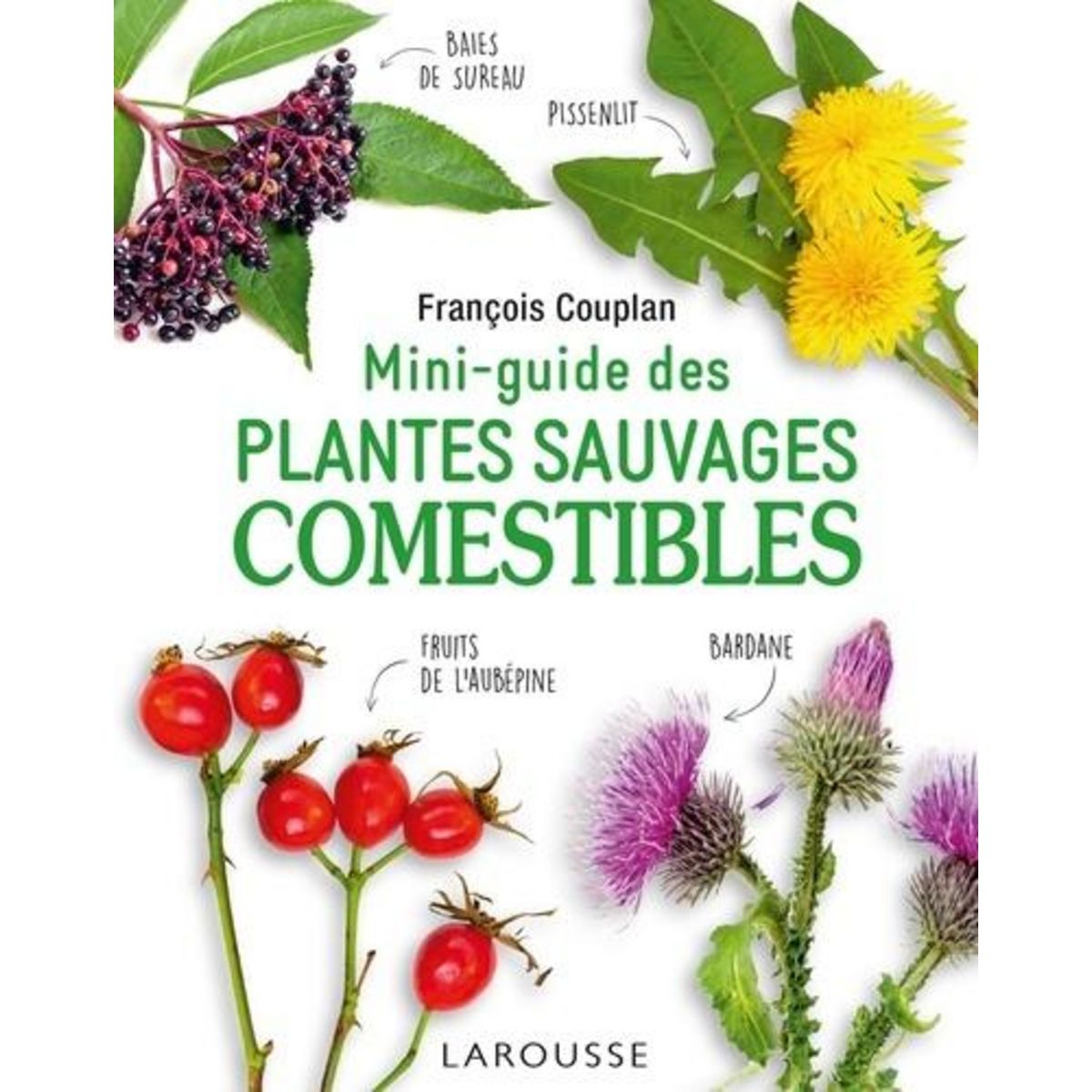 MINI-GUIDE DES PLANTES SAUVAGES COMESTIBLES, Couplan François