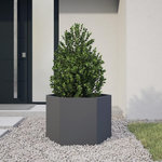 VIDAXL Jardiniere anthracite hexagone 69x60x45 cm acier
