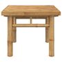 Voir la diapositive 3 : VIDAXL Table basse 45x45x35 cm bambou
