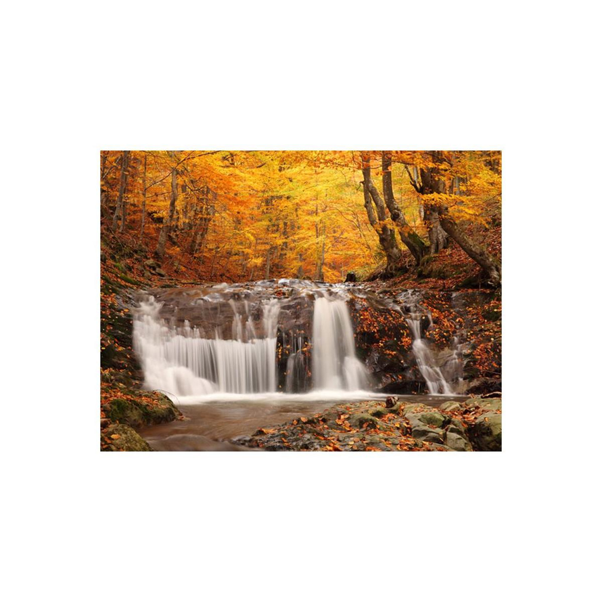 Voir la diapositive 2 : Paris Prix Papier peint  autumn landscape : waterfall in forest