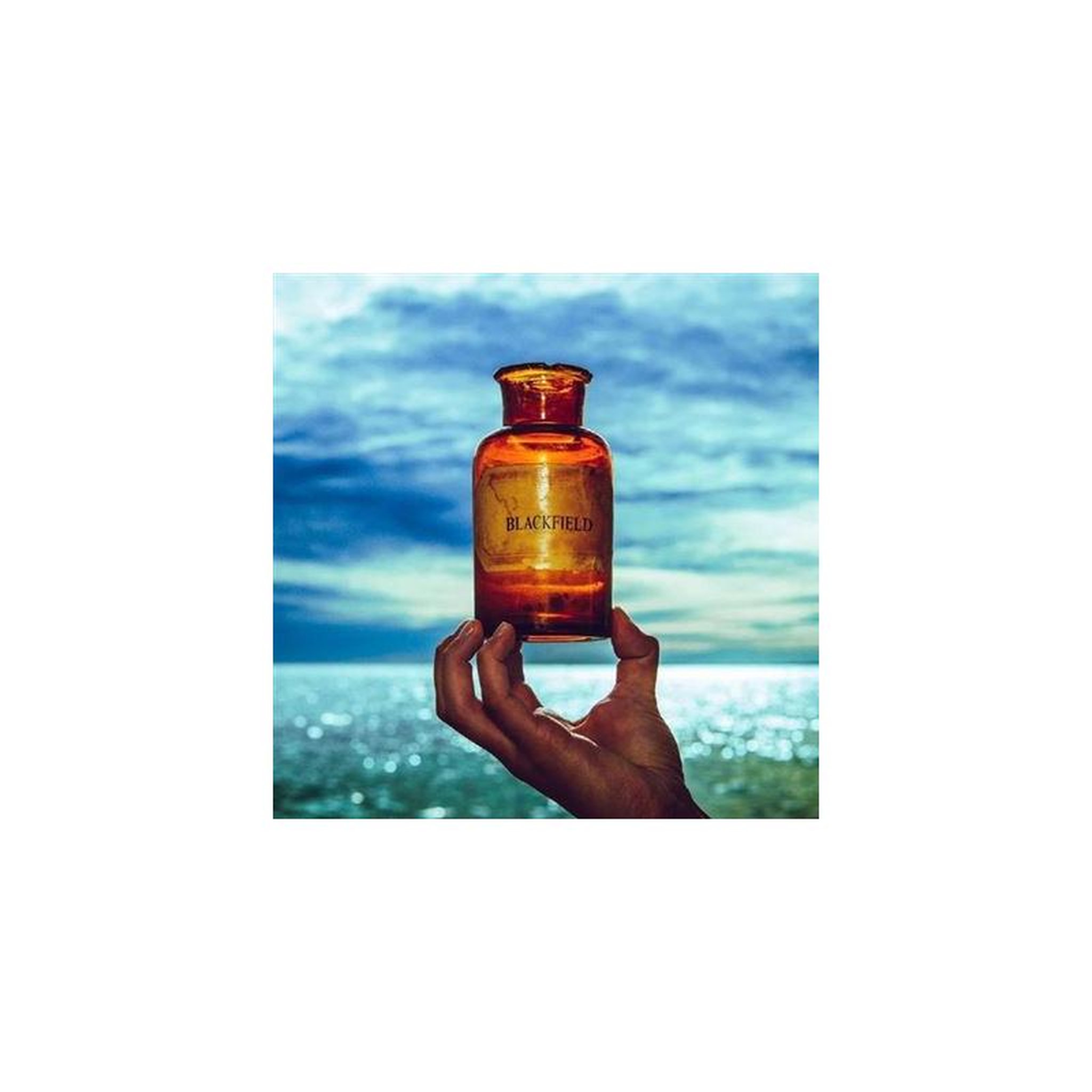 Blackfield V