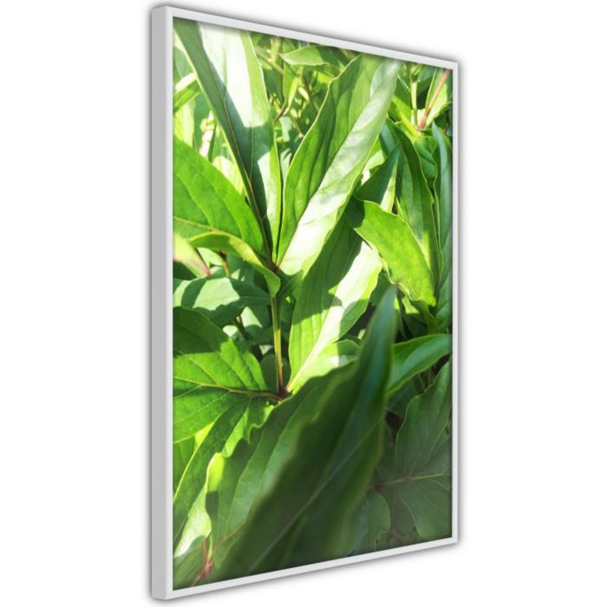 Paris Prix Affiche Murale Encadrée  Somewhere in the Garden