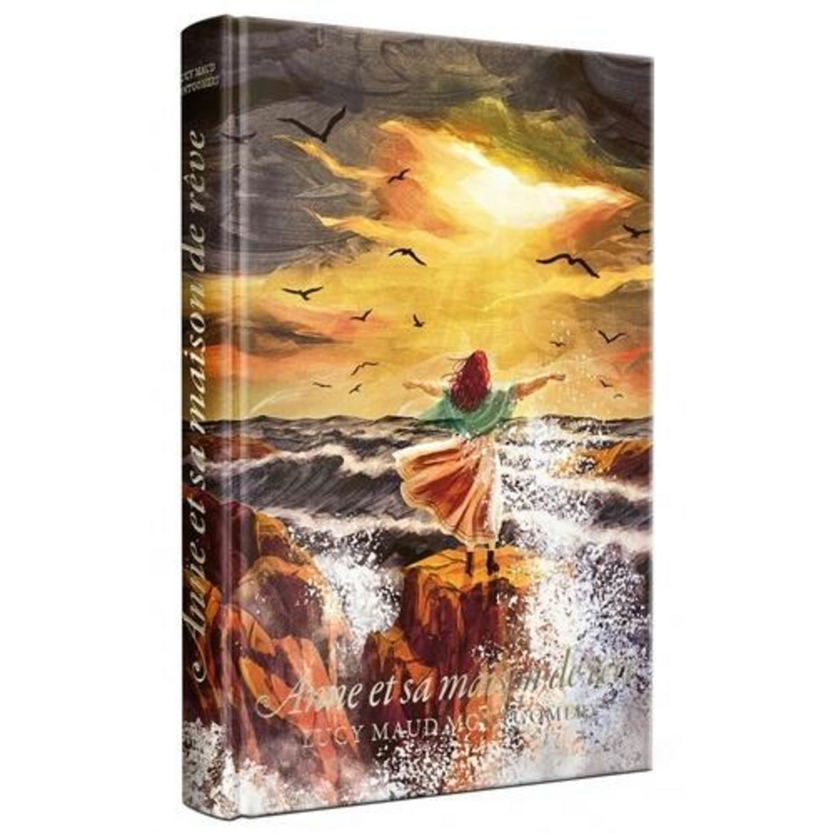 ANNE TOME 5 : ANNE ET SA MAISON DE REVE, Montgomery Lucy Maud