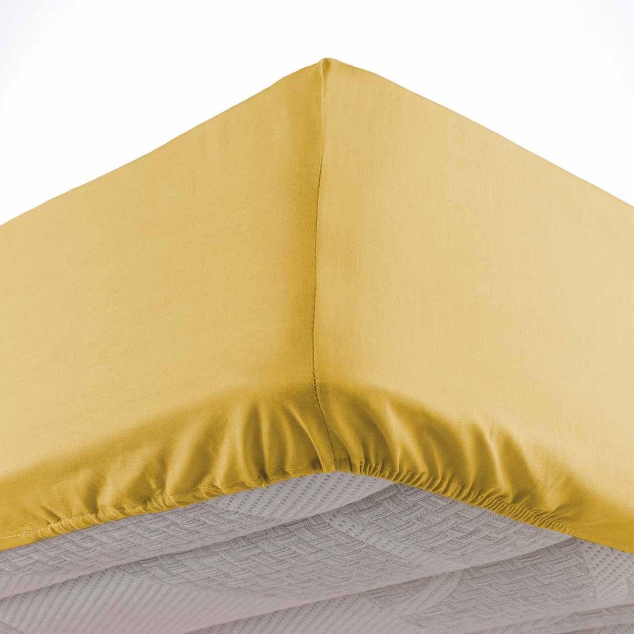 Douceur d'Intérieur Drap housse microfibre  oscar  90x190cm miel