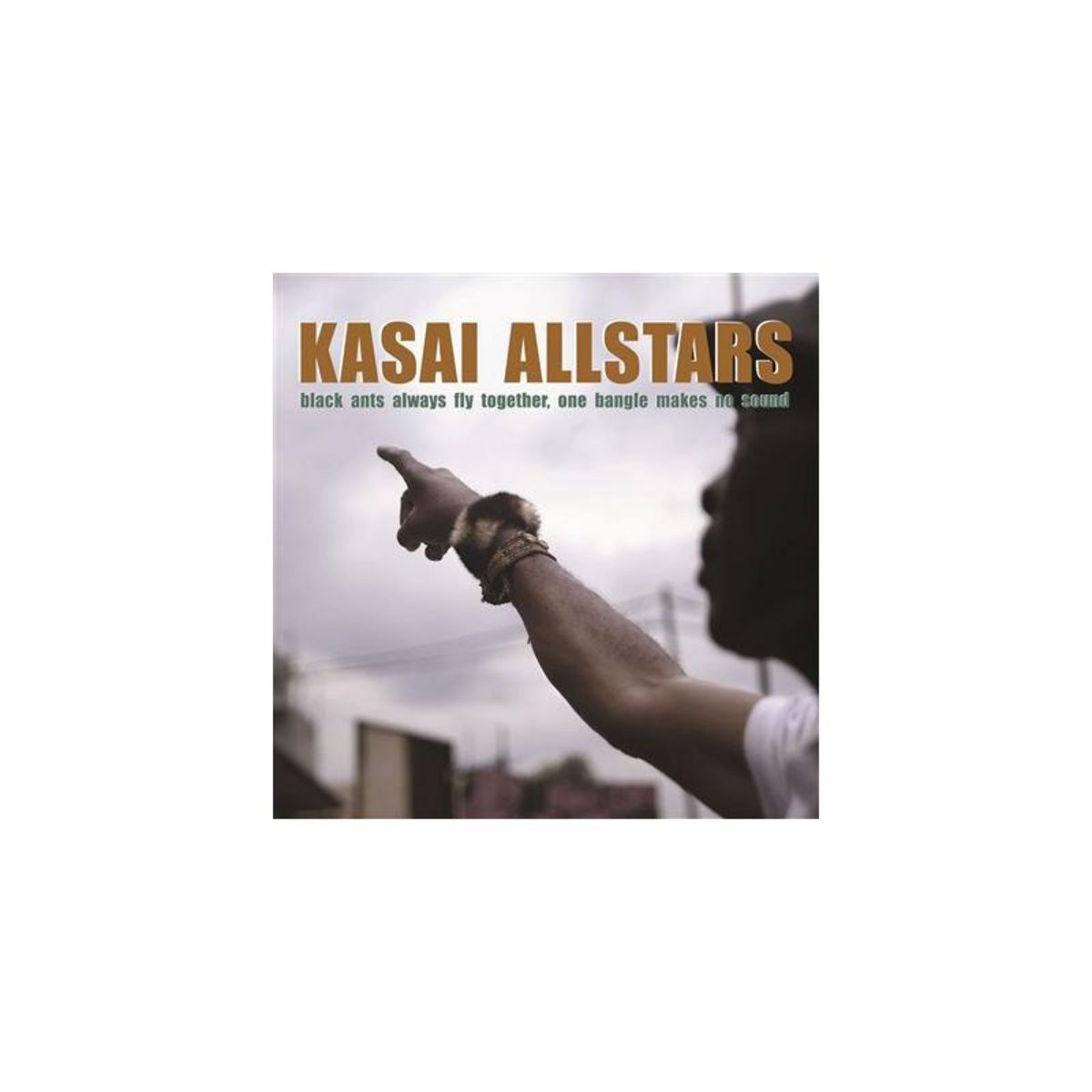 Black Ants Always Fly Together, One Bangle Makes No Sound