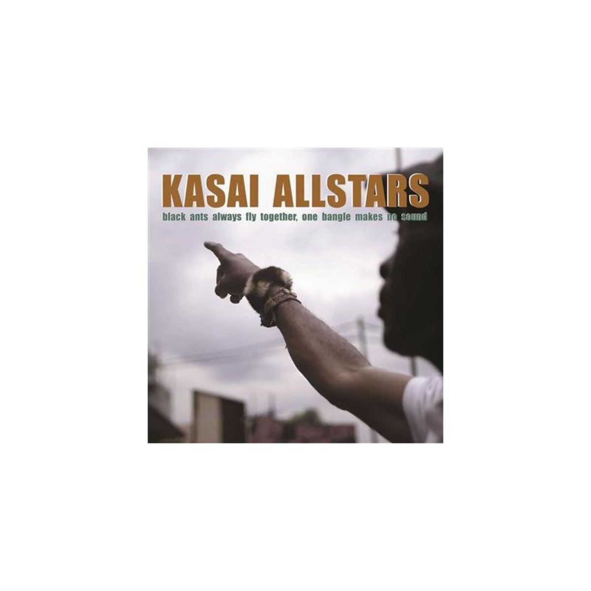 Black Ants Always Fly Together, One Bangle Makes No Sound