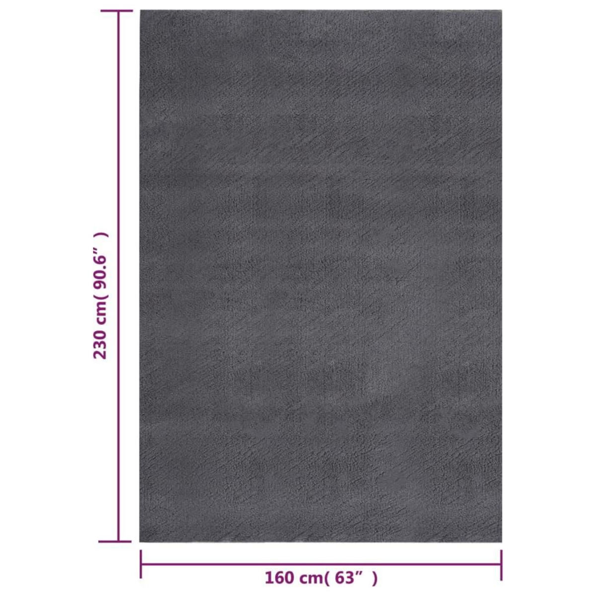 VIDAXL Tapis shaggy doux lavable 160x230 cm Antiderapant Anthracite
