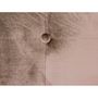 Voir la diapositive 3 : Paris Prix Tête de Lit Capitonnée en Velours  Amor  180cm Taupe