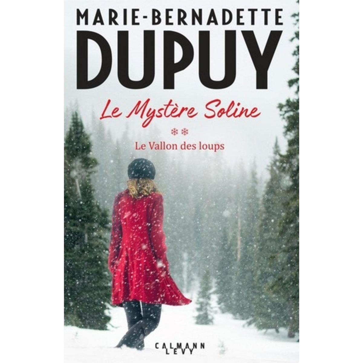  LE MYSTERE SOLINE TOME 2 : LE VALLON DES LOUPS, Dupuy Marie-Bernadette