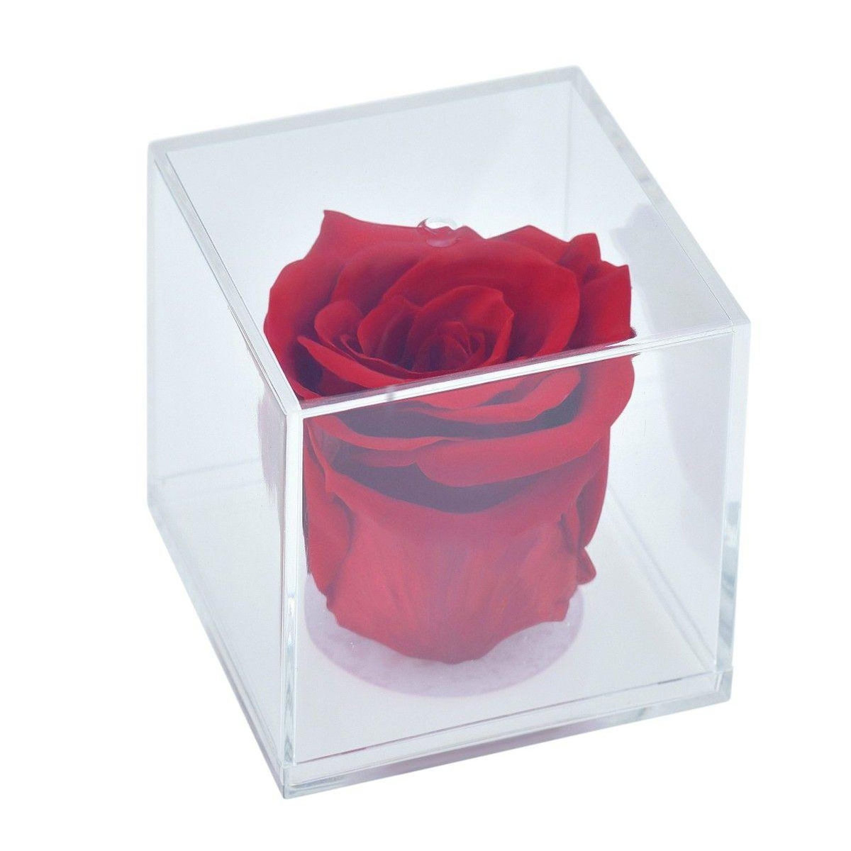 SC CRYSTAL Ecrin décoré d'une rose éternelle rouge