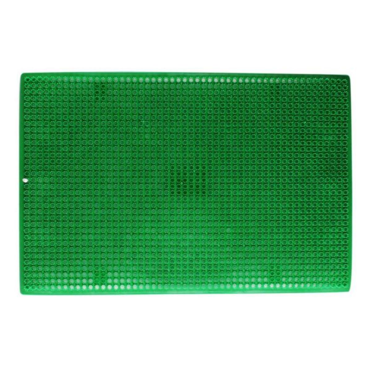 Paris Prix Tapis d'Entrée  Grattoir  38x58cm Vert
