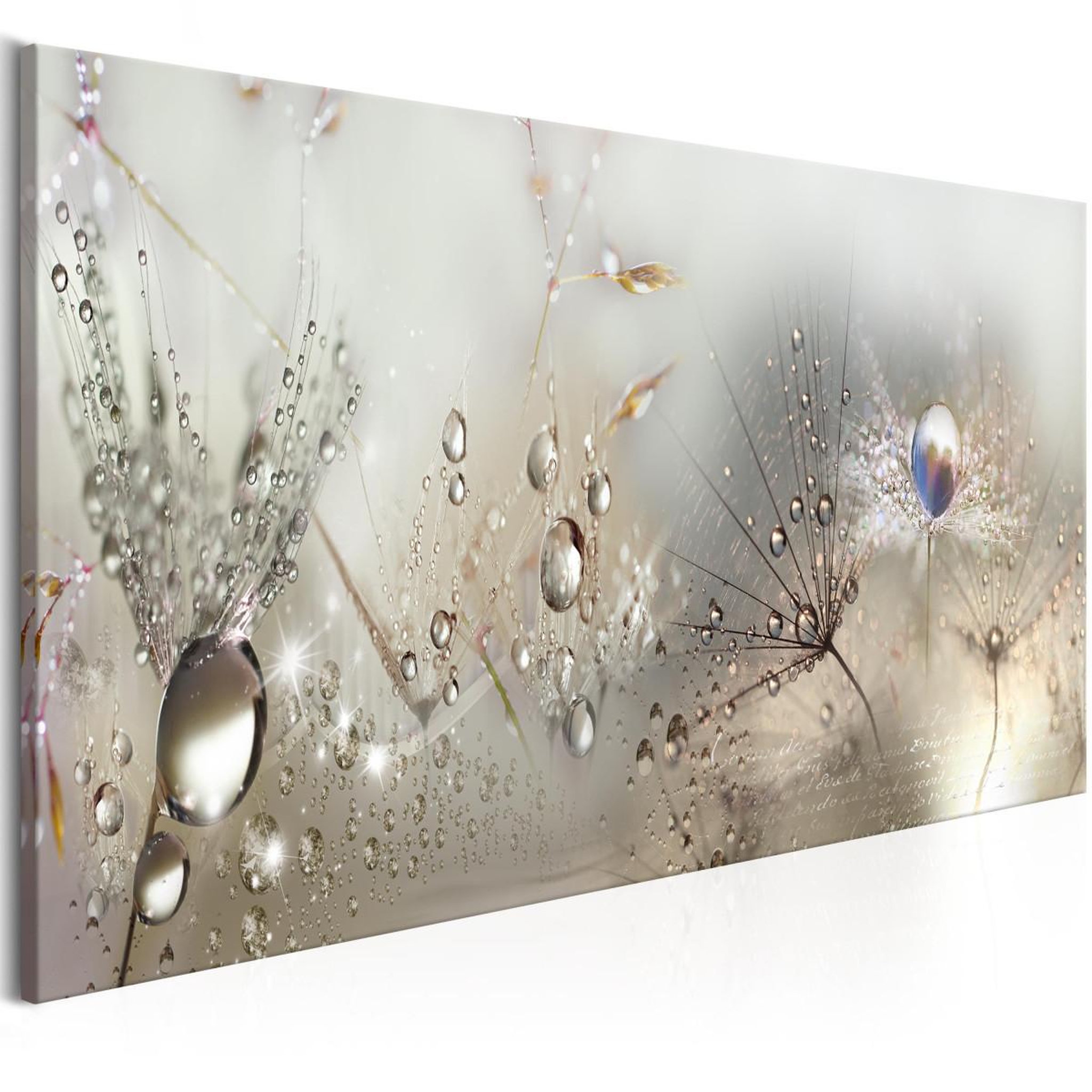 Voir la diapositive 1 : Paris Prix Tableau Imprimé  Morning Song