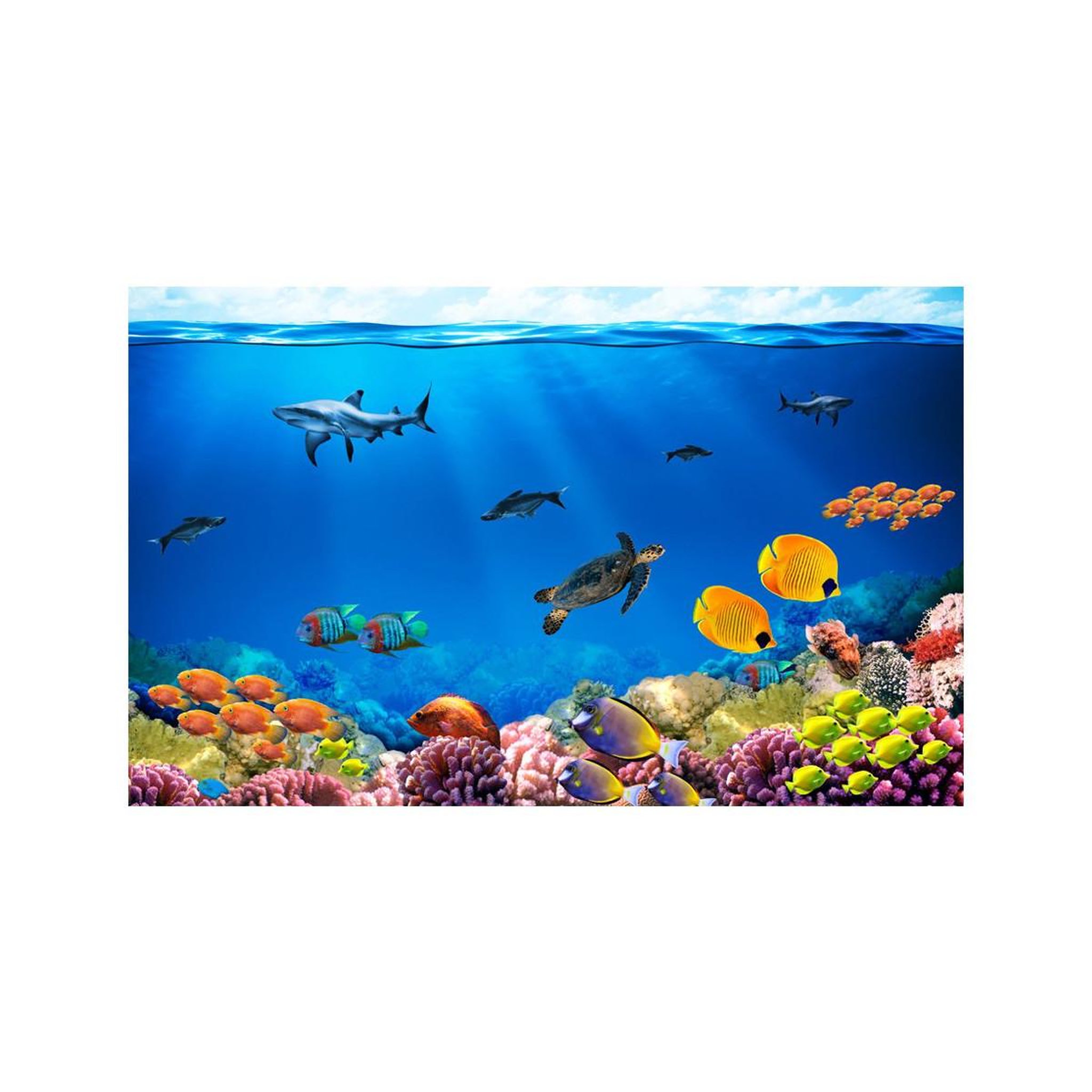 Voir la diapositive 2 : Paris Prix Papier Peint  Underwater Kingdom