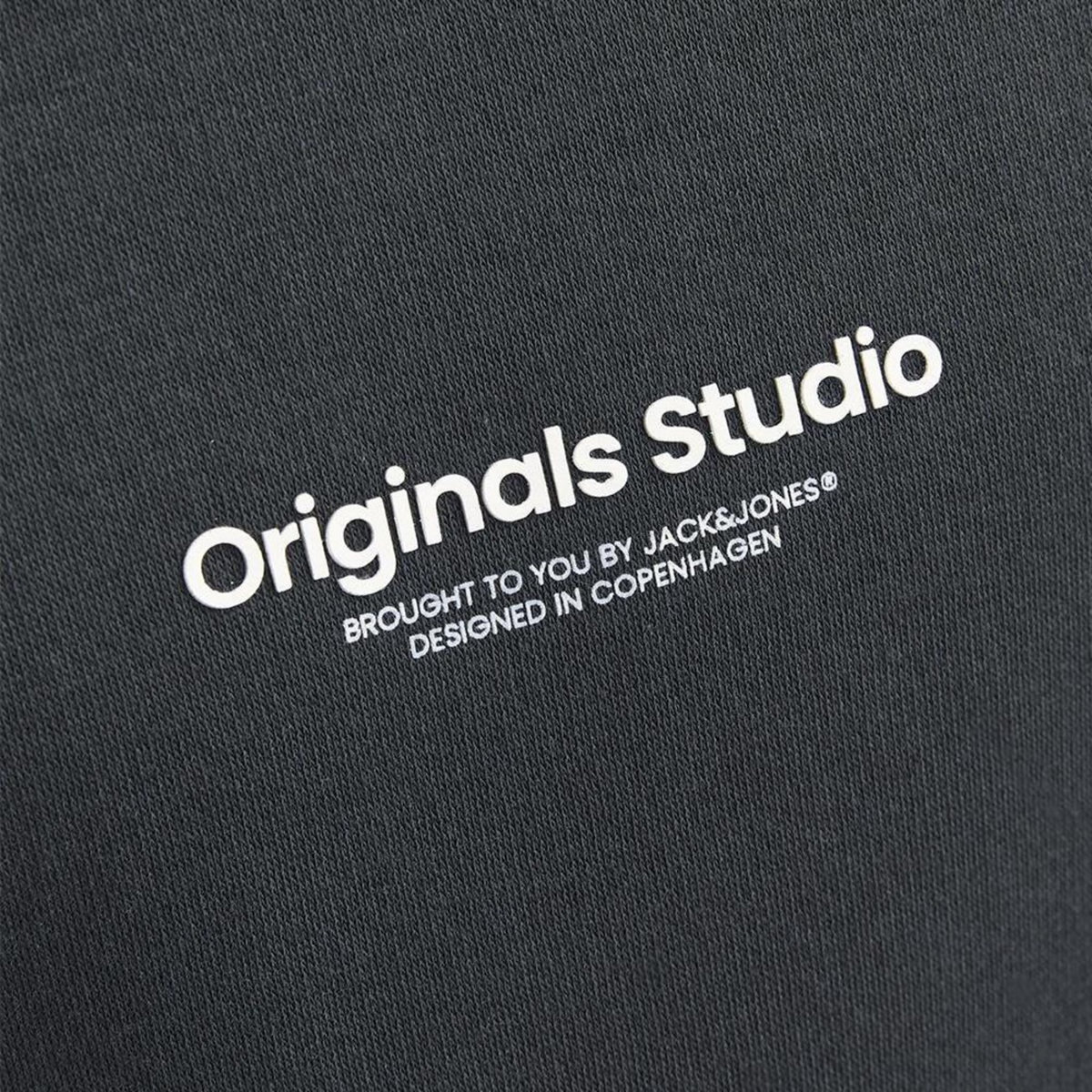 Jack & Jones Sweat  Foncé Garçon Jack & Jones Esterbro