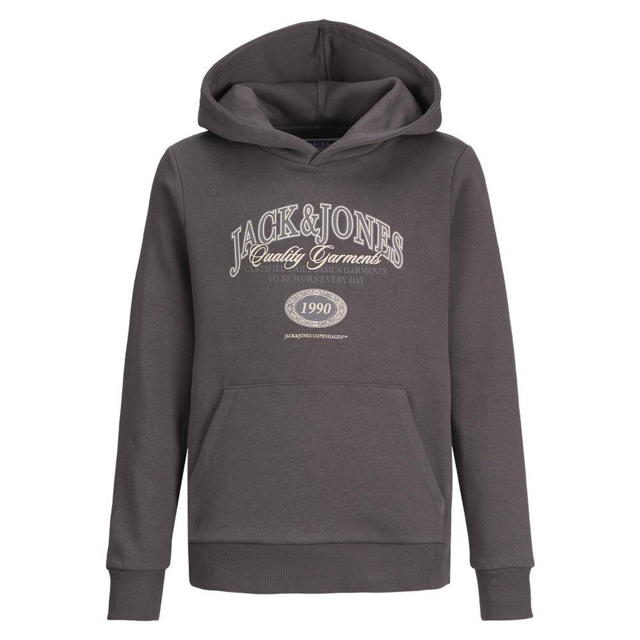 Voir la diapositive 2 : Jack & Jones Sweat Gris Garçon Jack & Jones Ari