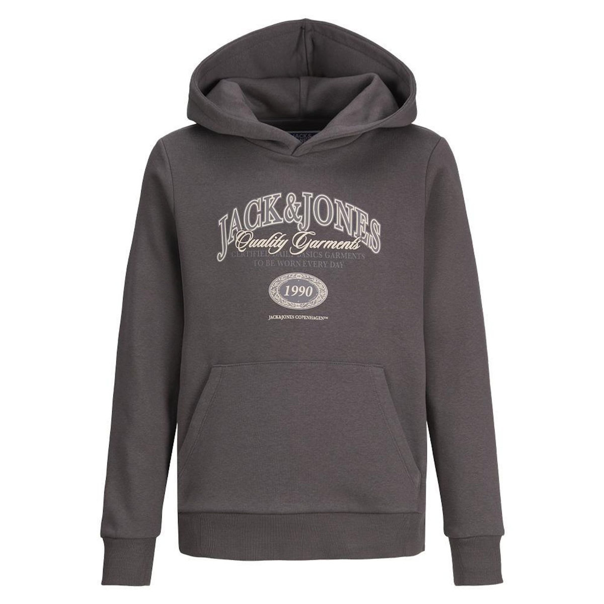 Jack & Jones Sweat Gris Garçon Jack & Jones Ari