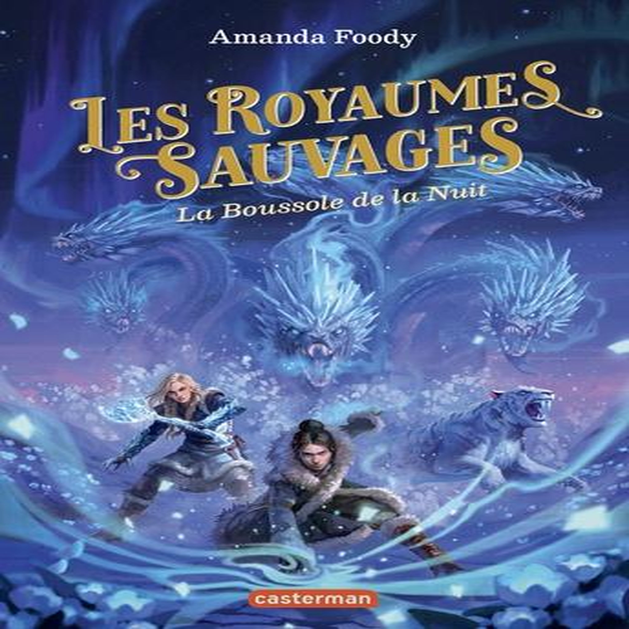 LES ROYAUMES SAUVAGES TOME 4 : LA BOUSSOLE DE LA NUIT, Foody Amanda