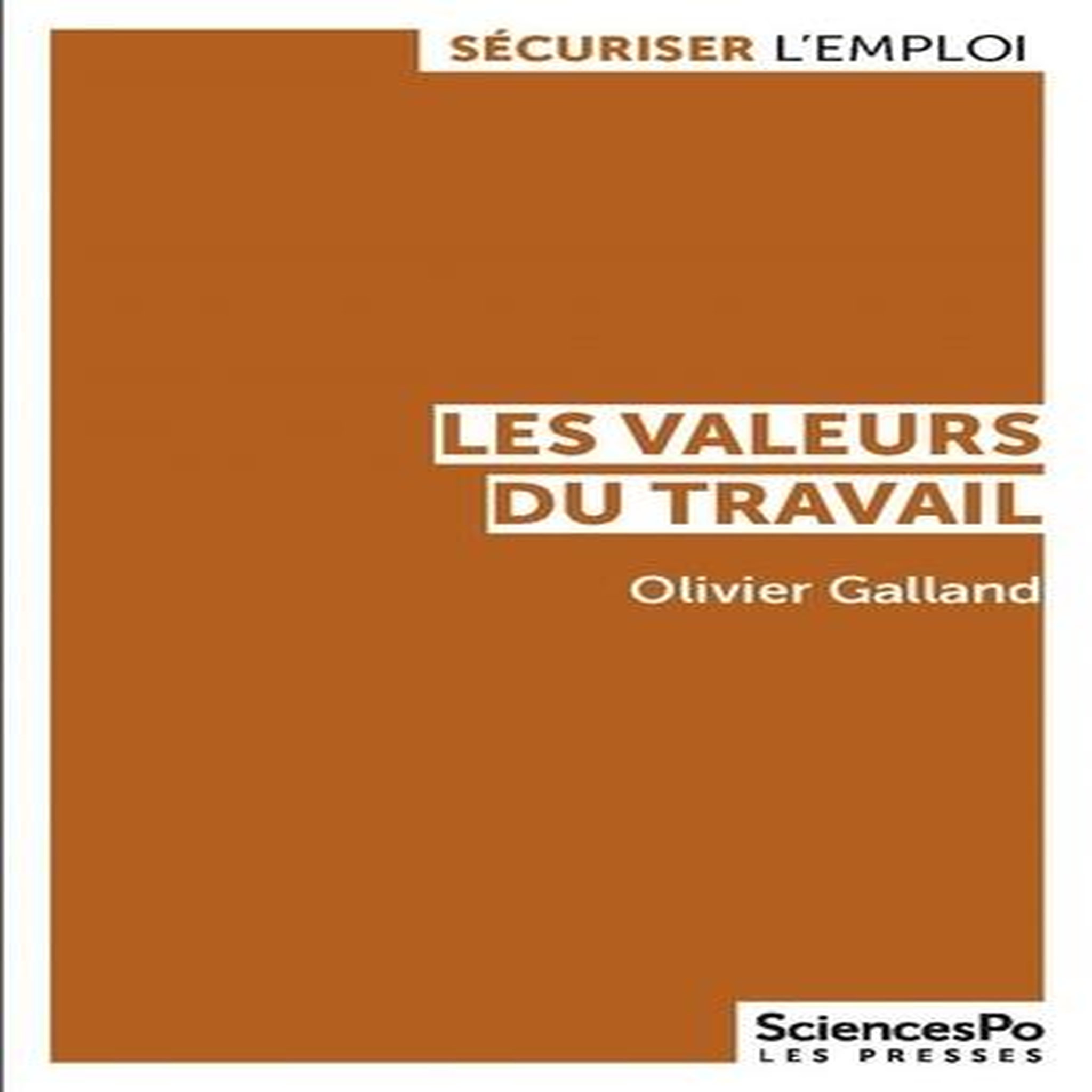 LES VALEURS DU TRAVAIL. CONTRASTES ET EVOLUTIONS EN FRANCE ET DANS LES PAYS DEVELOPPES, Galland Olivier