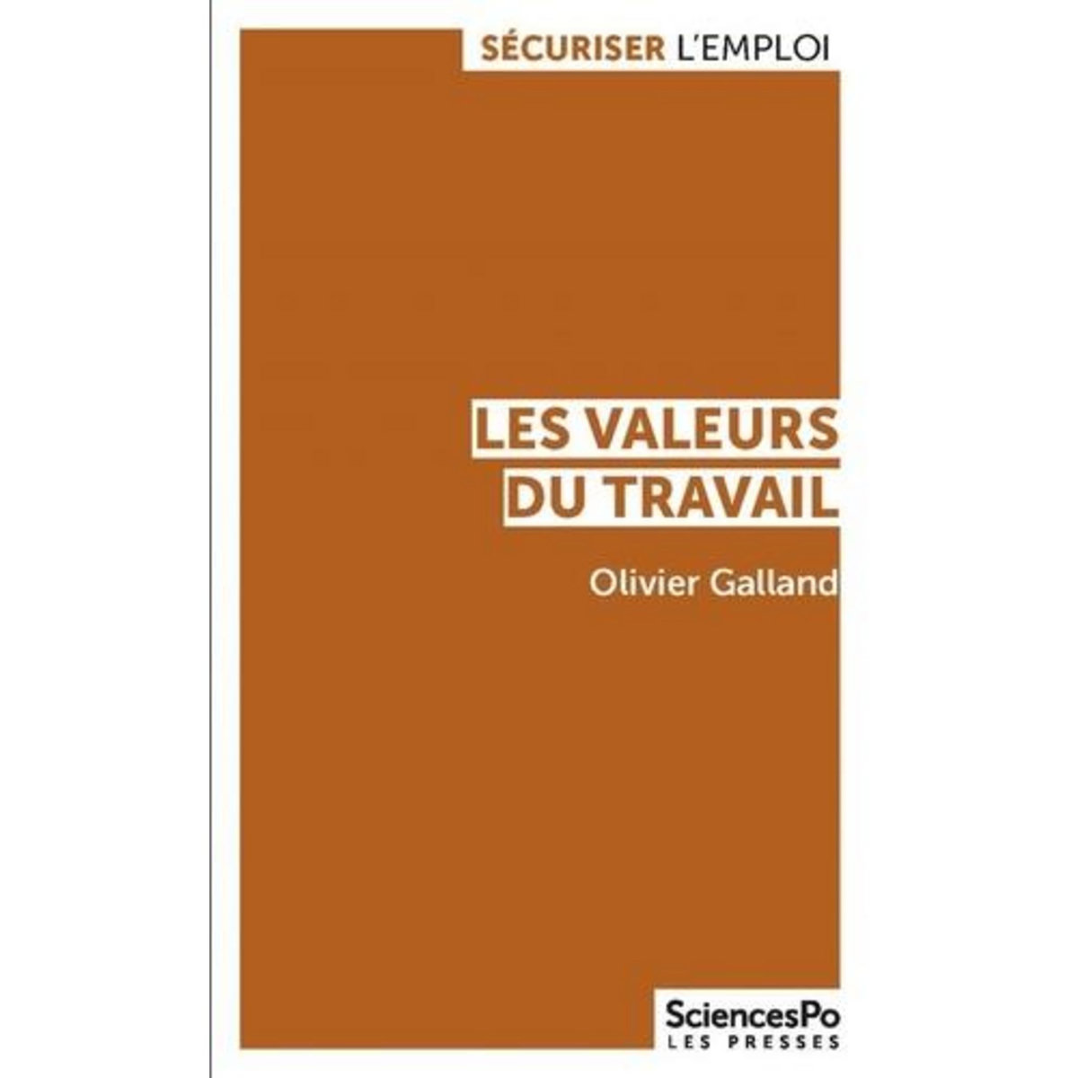 LES VALEURS DU TRAVAIL. CONTRASTES ET EVOLUTIONS EN FRANCE ET DANS LES PAYS DEVELOPPES, Galland Olivier