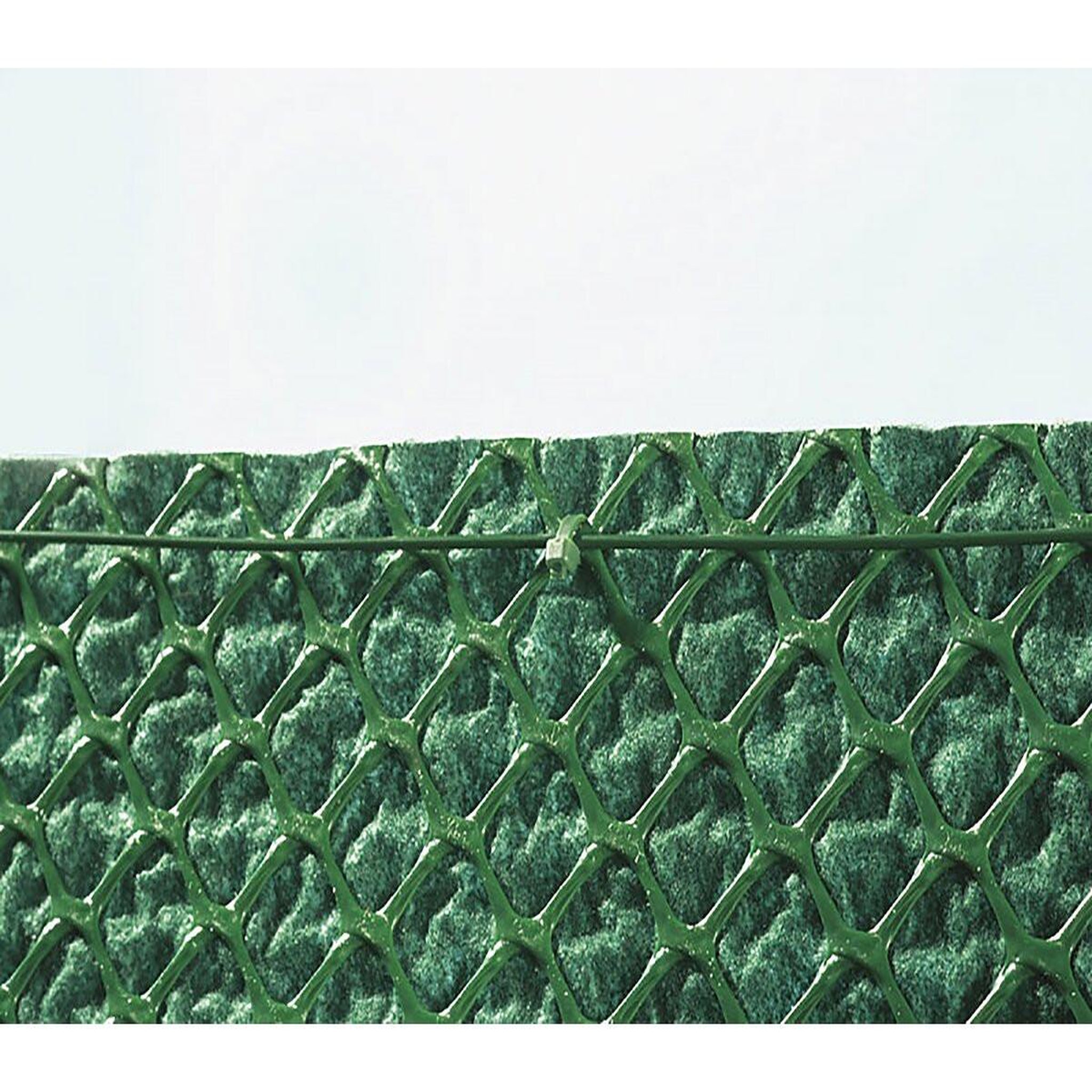 Voir la diapositive 3 : Habitat et Jardin Brise vue synthétique - tandem - 1.00 x 25 m - vert