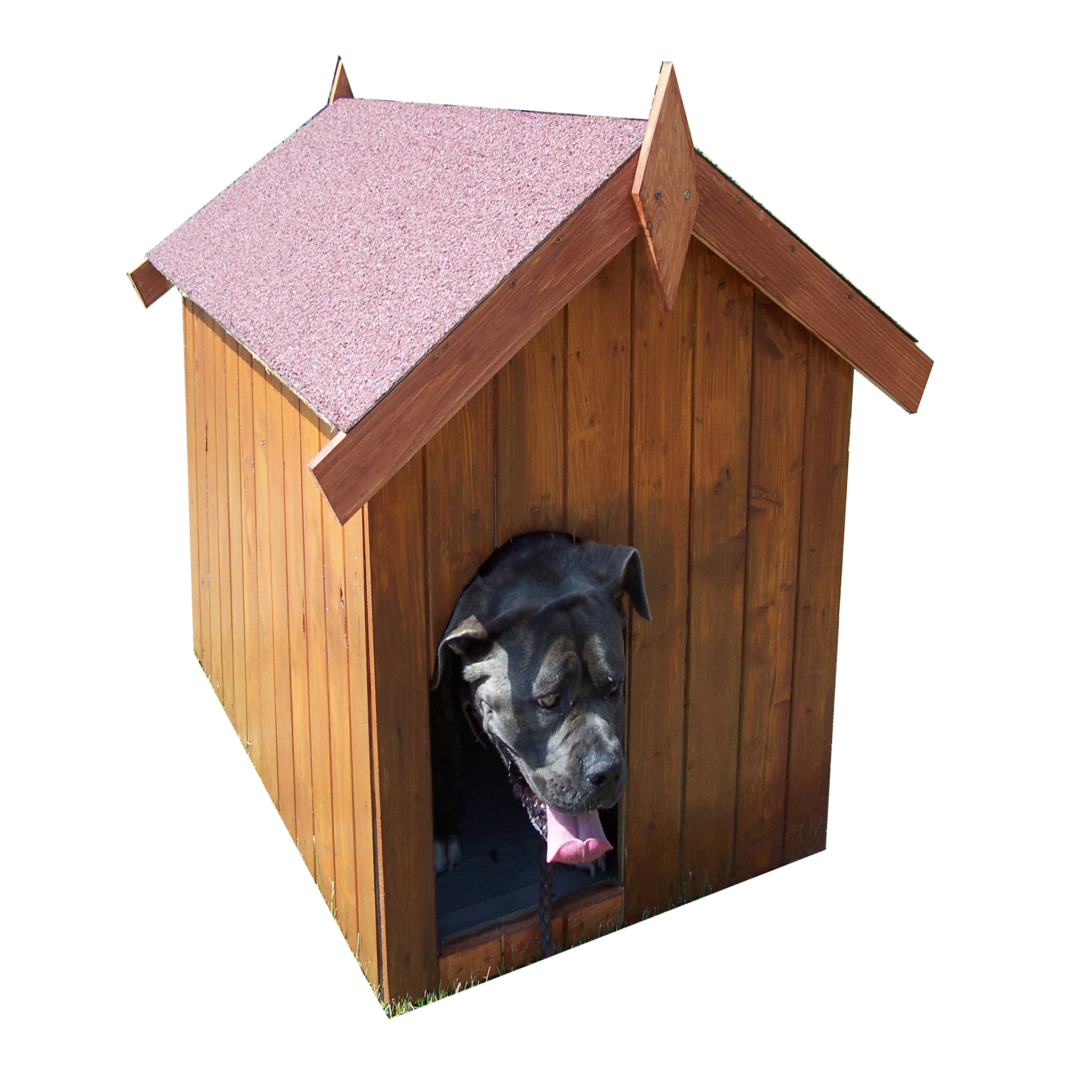 Voir la diapositive 1 : Niche petit chien Lintig