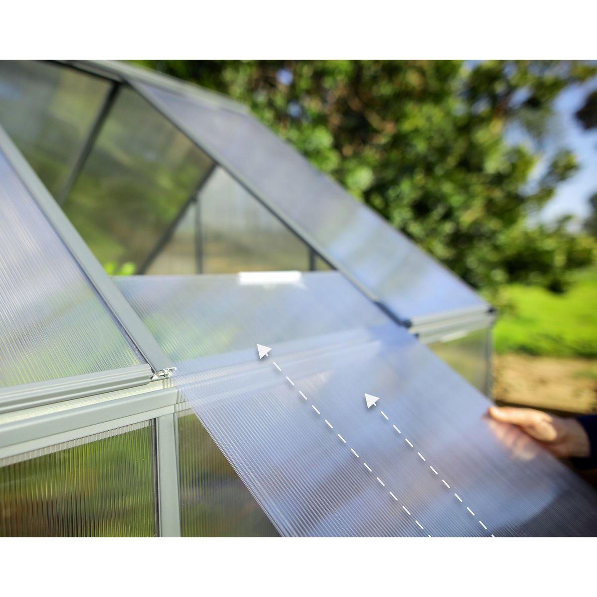 Canopia by PALRAM Serre de jardin polycarbonate Mythos 6x10 m Grey