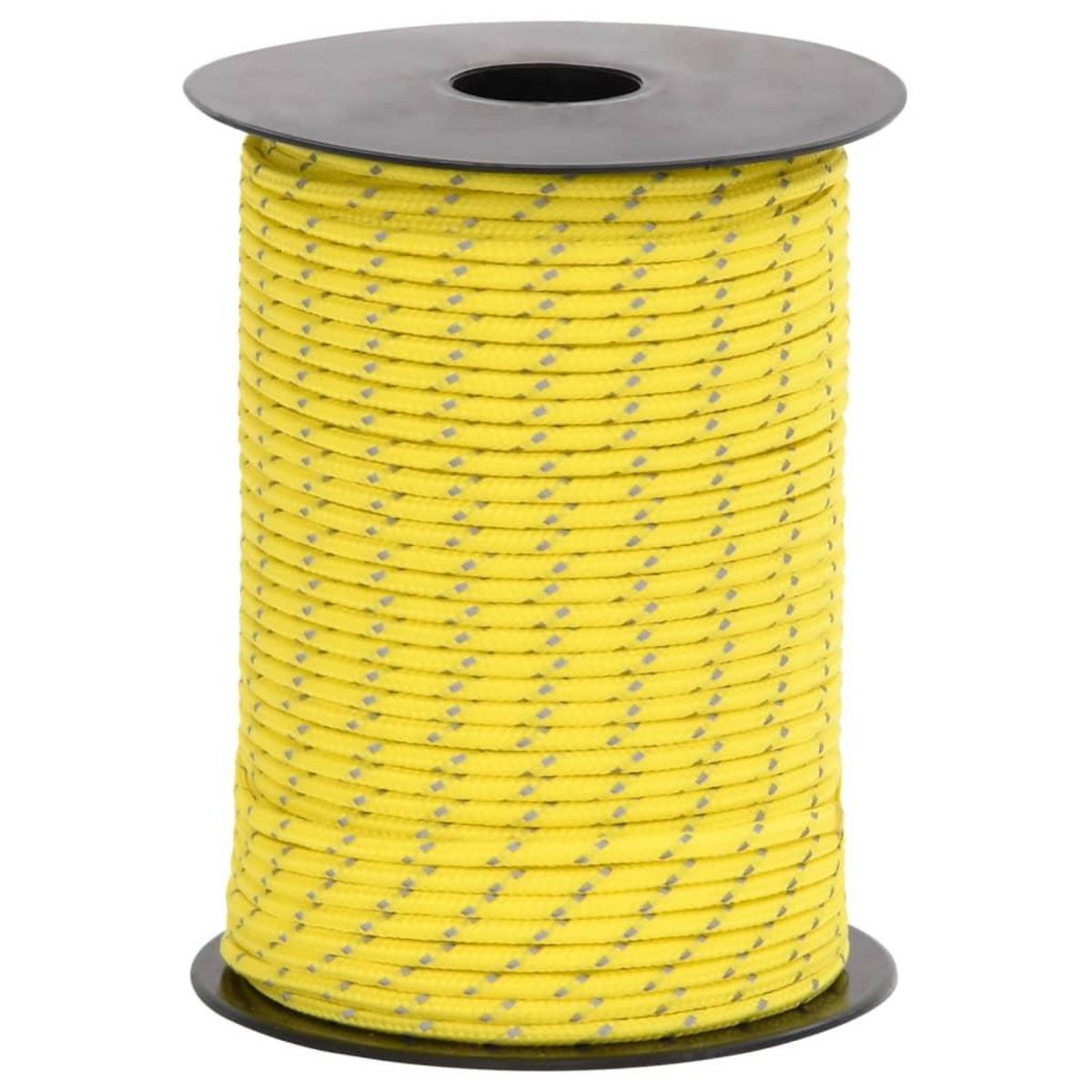 VIDAXL Corde de haubanage de tente avec bandes reflechissantes et cles