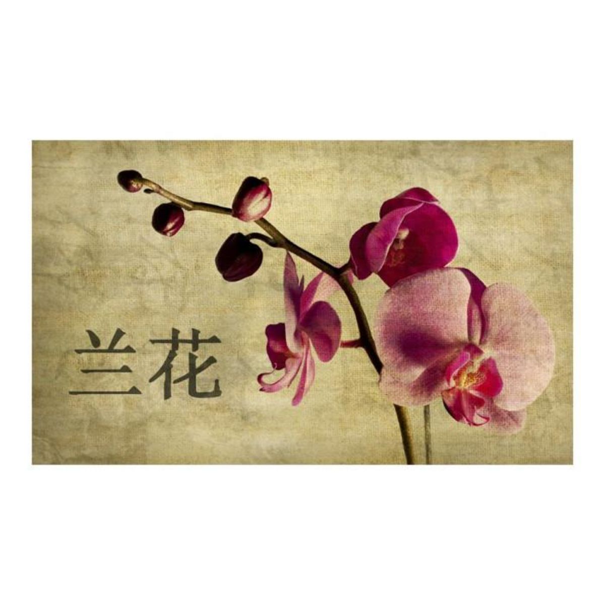 Paris Prix Papier Peint  Japanese Orchid  270x450cm