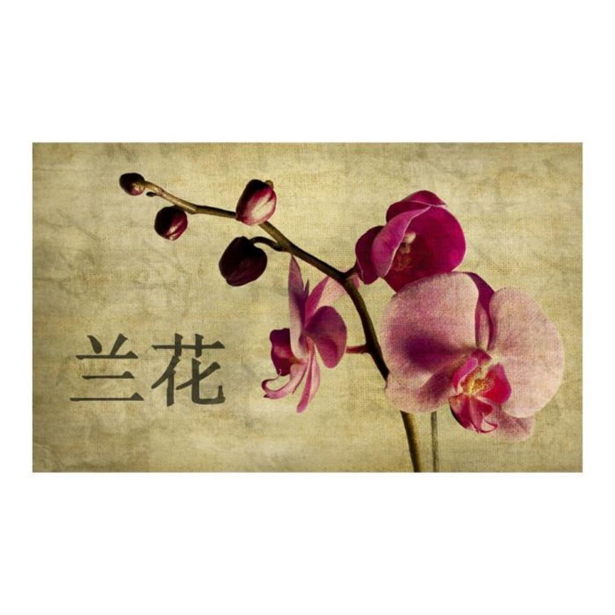 Paris Prix Papier Peint  Japanese Orchid  270x450cm