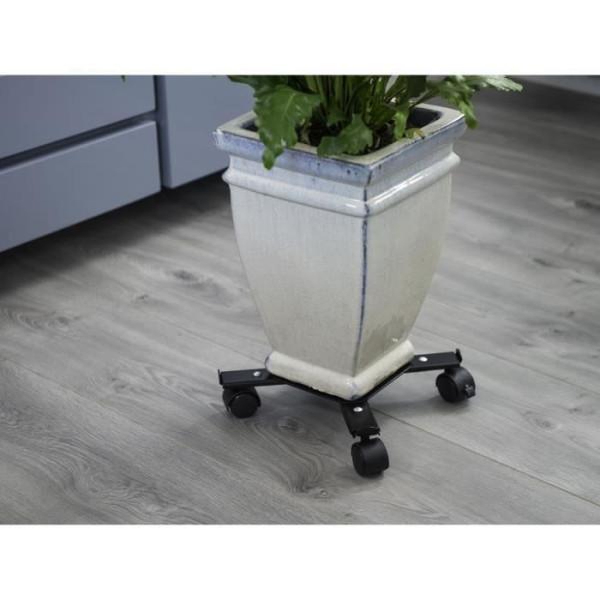 Voir la diapositive 4 : NATURE Support de pot roulant extensible - NATURE - En métal époxy noir mat - 4 branches - Charge maxi 100 kg