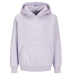 Jack & Jones Sweat Mauve Garçon Jack & Jones Vesterbro 12256770. Coloris disponibles : Violet