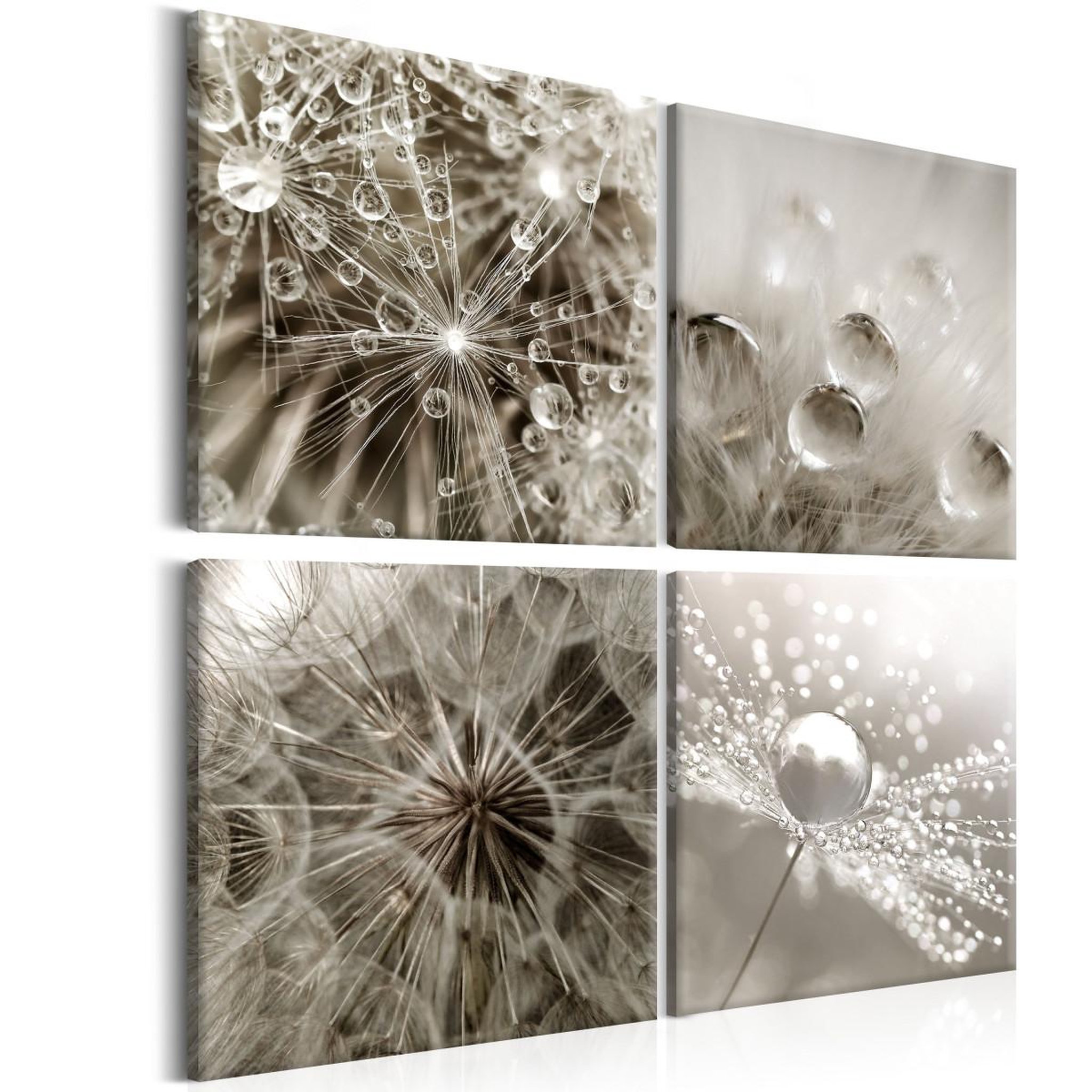 Paris Prix Tableau imprimé  grey dandelion. Coloris disponibles : Multicolore