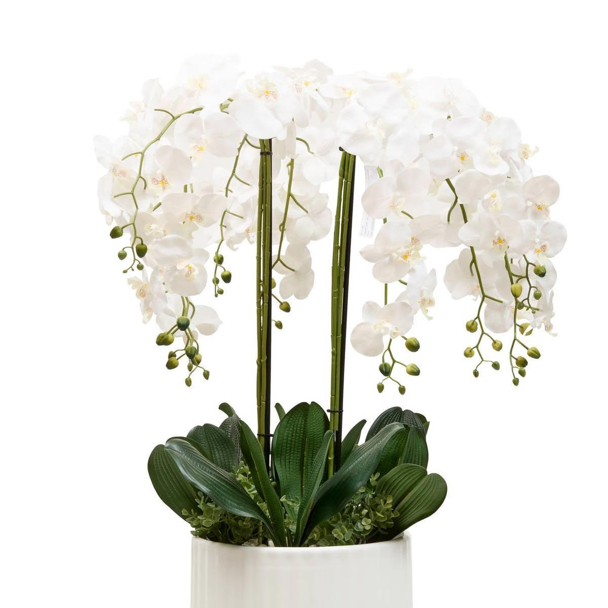 Voir la diapositive 3 : ATMOSPHERA Orchidée Artificielle avec Vase  Hotel  115cm Blanc