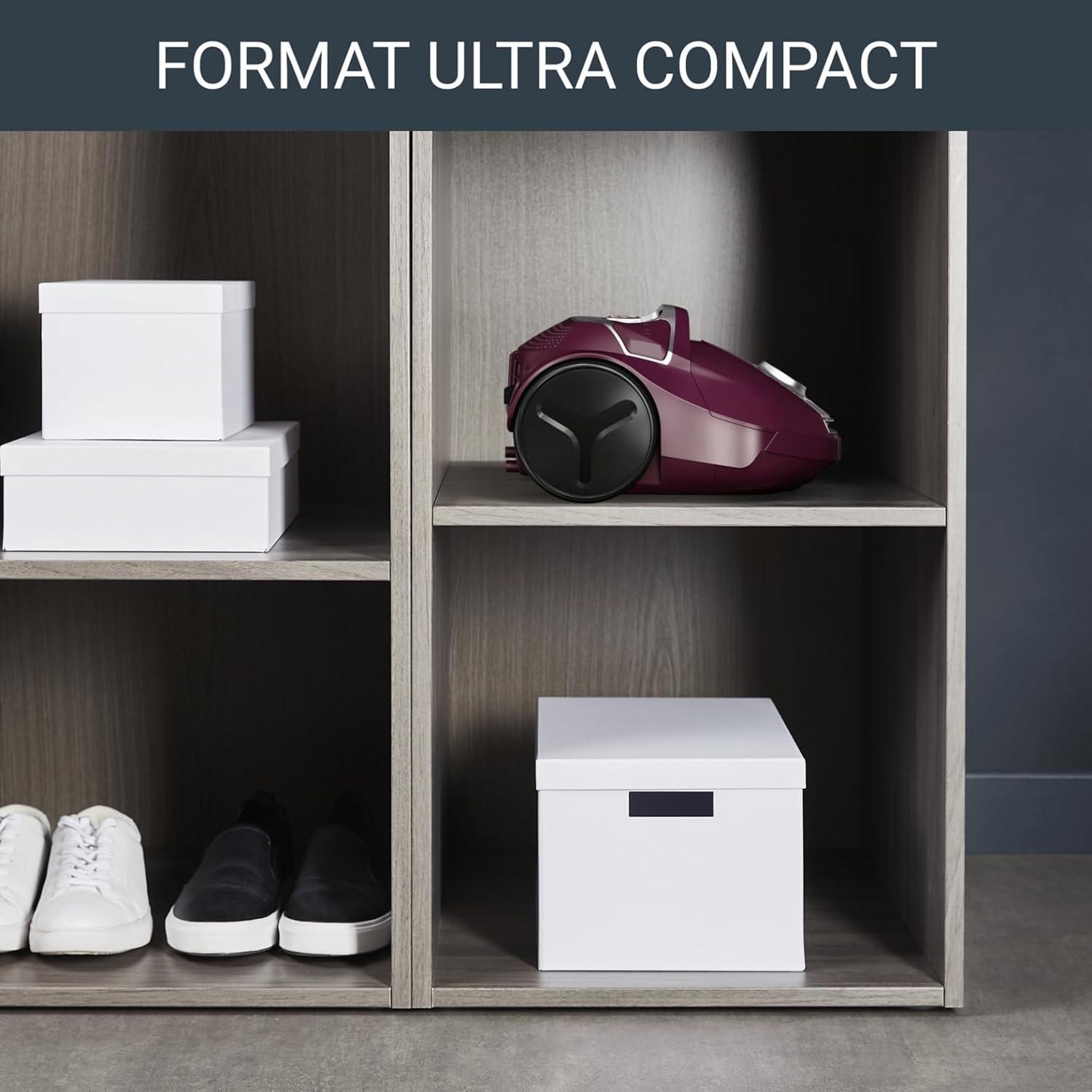 Voir la diapositive 5 : ROWENTA Aspirateur traineau 900w 75db prune - ro3969ea