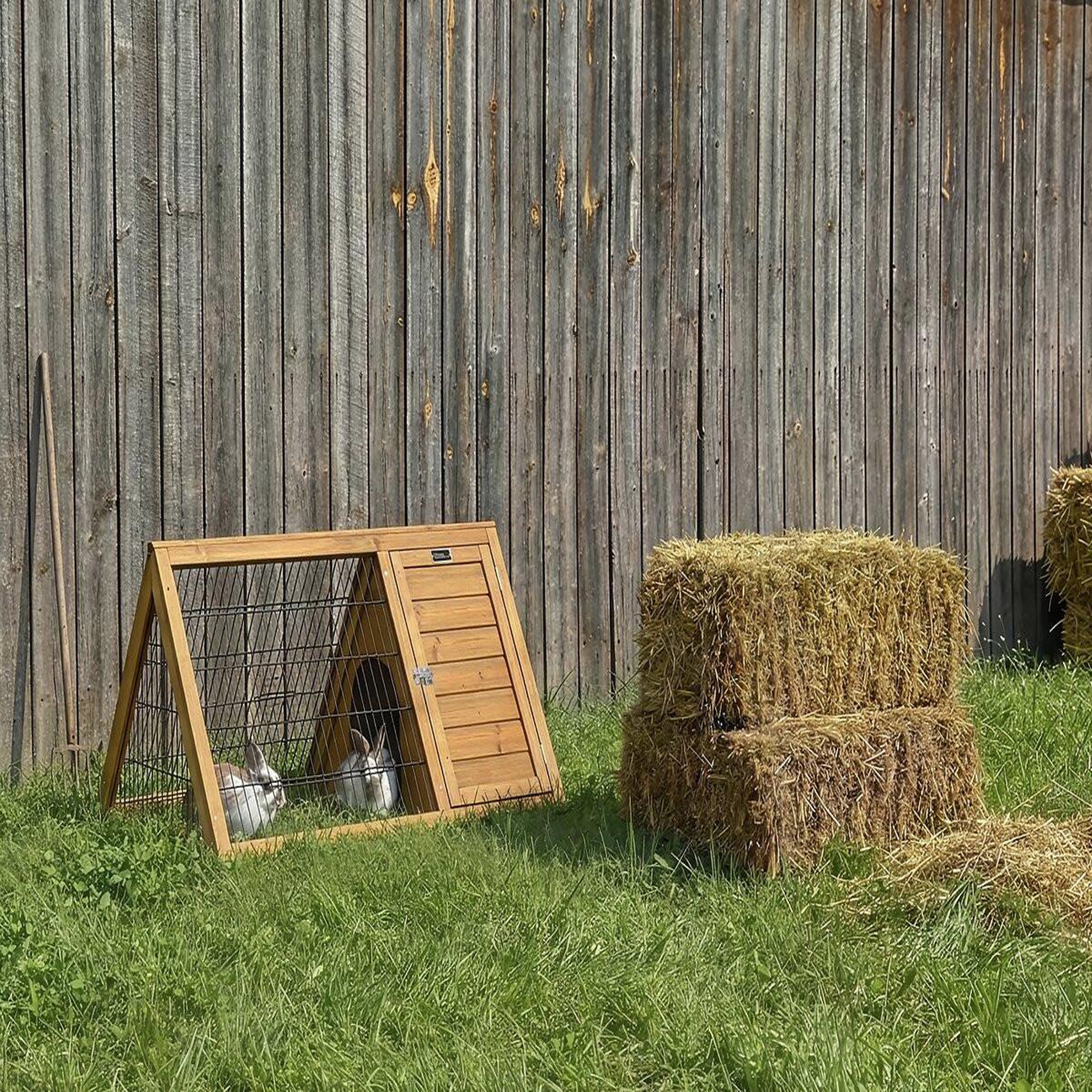 Voir la diapositive 2 : Habitat et Jardin Clapier poulailler  Biscotte  - 100 x 62 x 52 cm - Marron