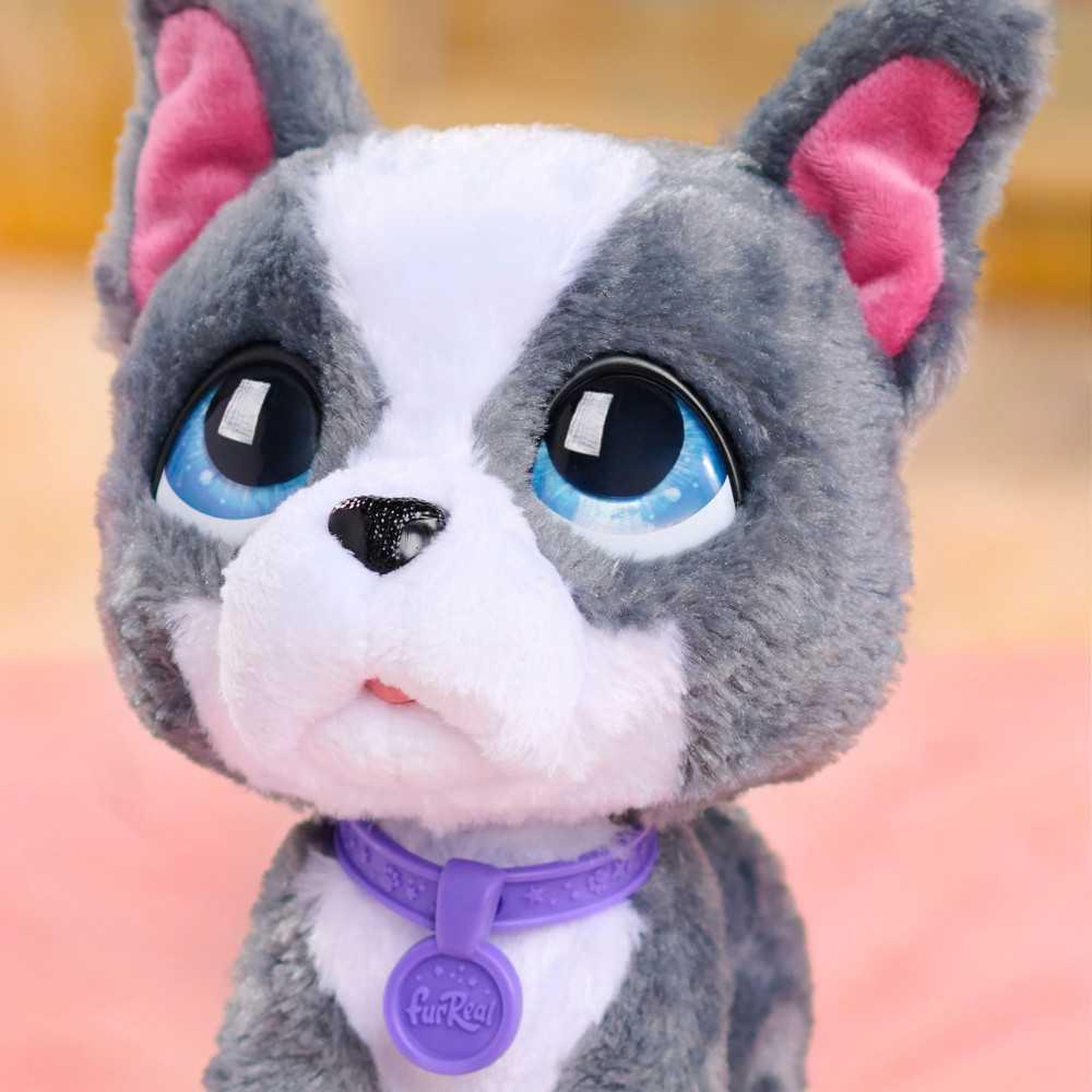Voir la diapositive 2 : FURREAL FRIENDS Peluche intéractive - FURREAL FRIENDS - Bouledog Français - 23 cm - 4 ans