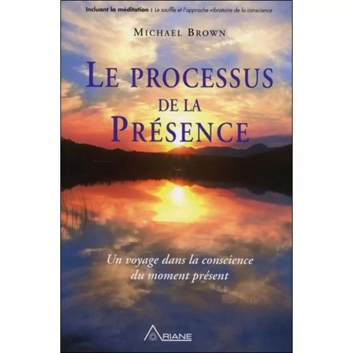  LE PROCESSUS DE LA PRESENCE. UN VOYAGE AU COEUR DE LA CONSCIENCE DU MOMENT PRESENT, Brown Michael