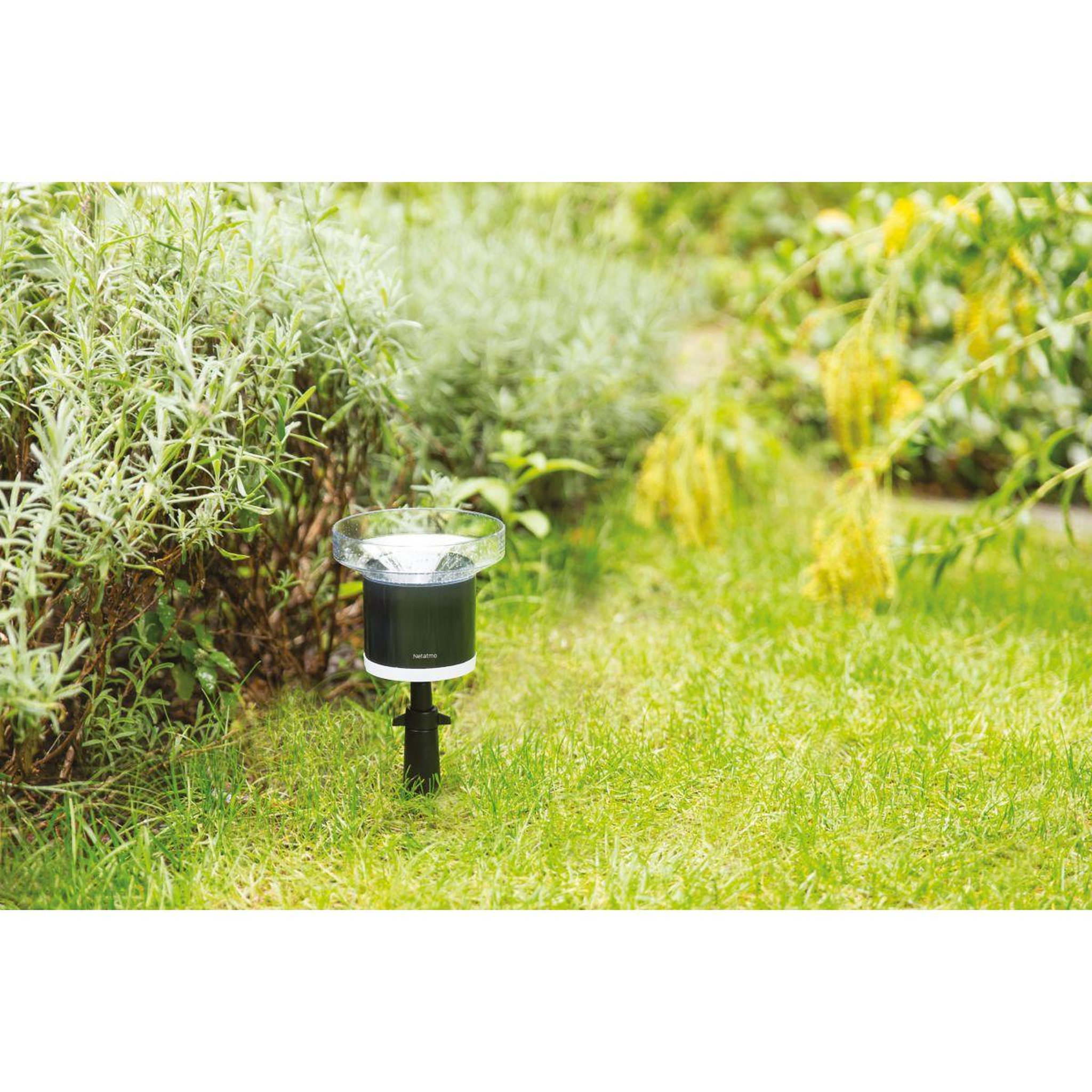 Voir la diapositive 4 : NETATMO Pluviomètre connecté connecté pour station météo
