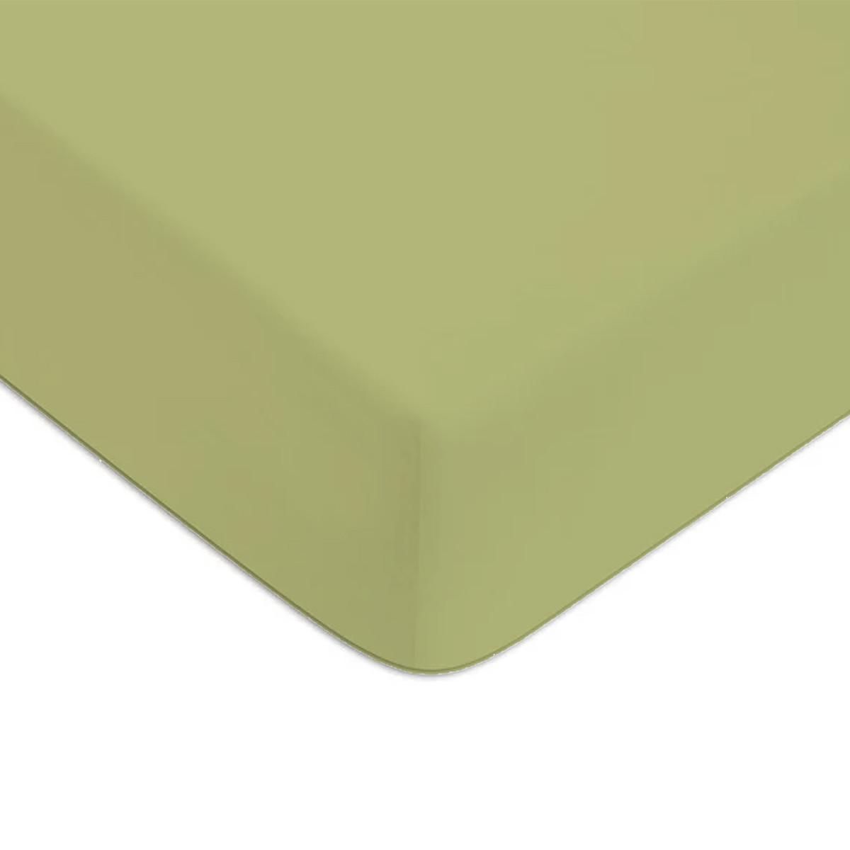 FUTURE HOME Drap housse en coton 57 fils uni bonnet 25cm